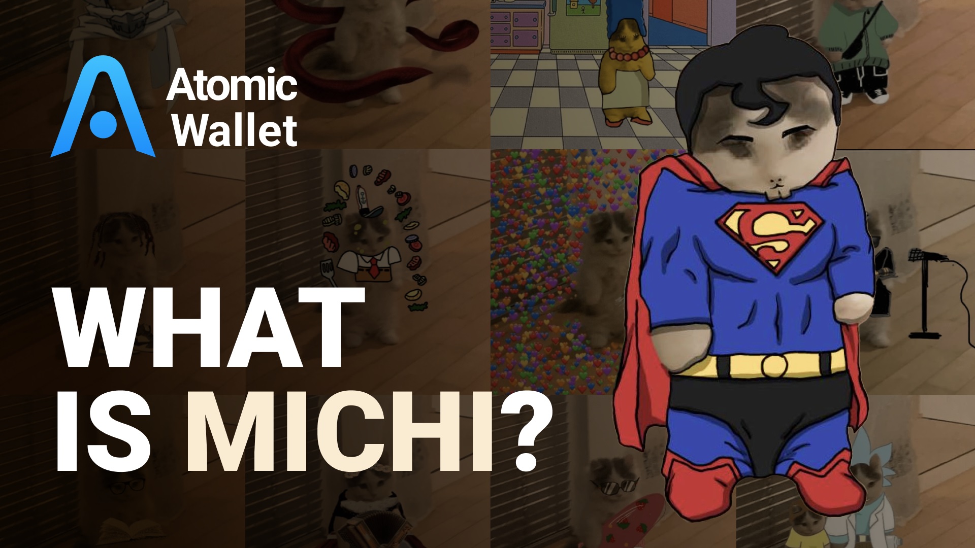 What is Michi? 