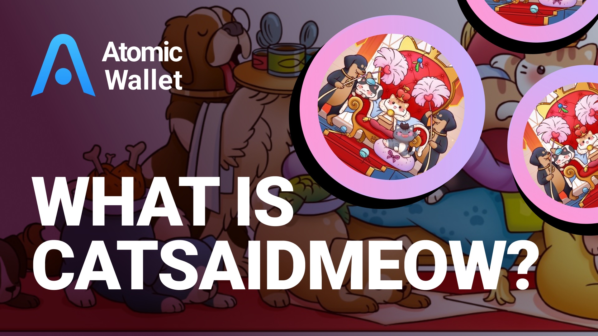 What is Catsaidmeow?