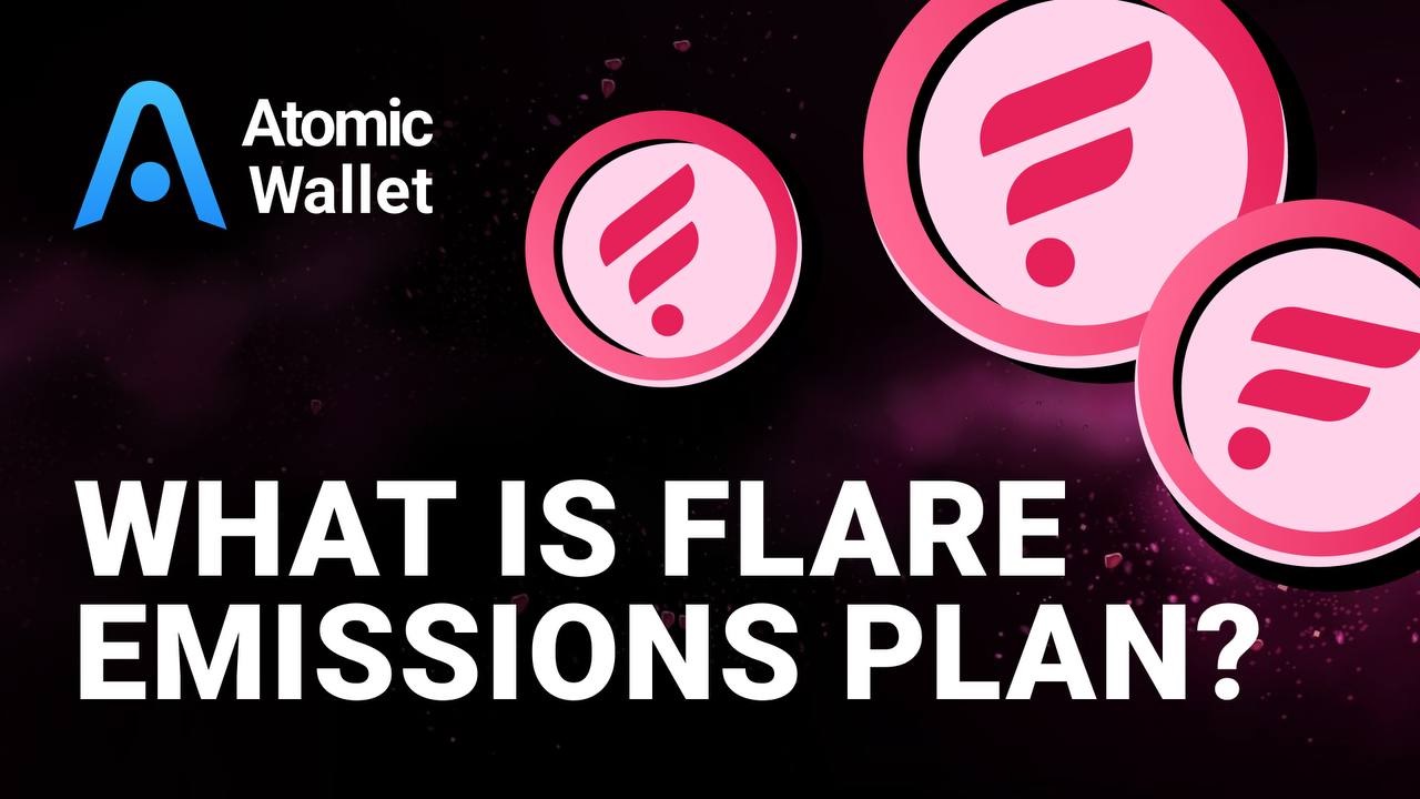 What is the Flare Emissions Plan? 