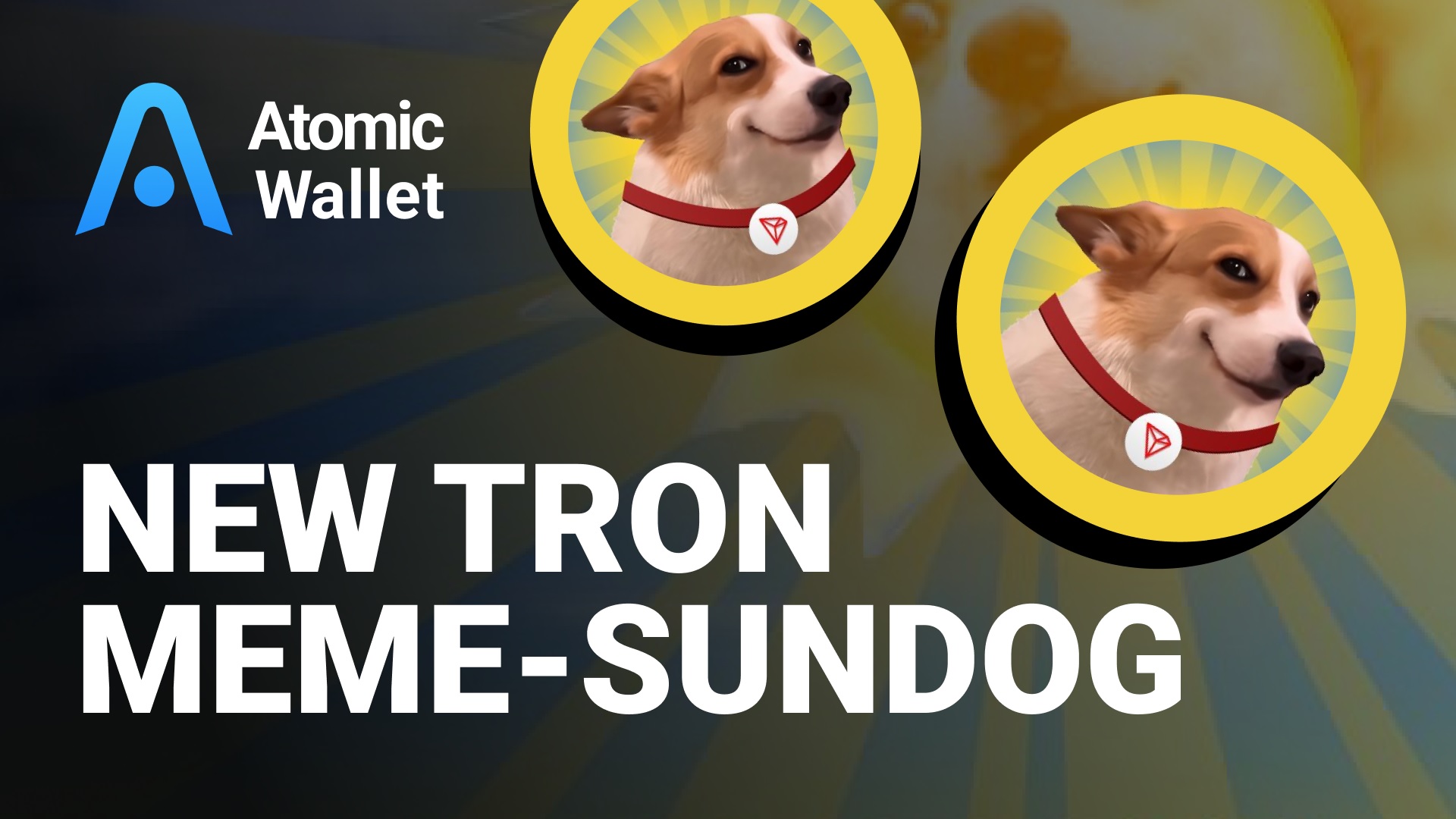 New Tron Meme - SUNDOG