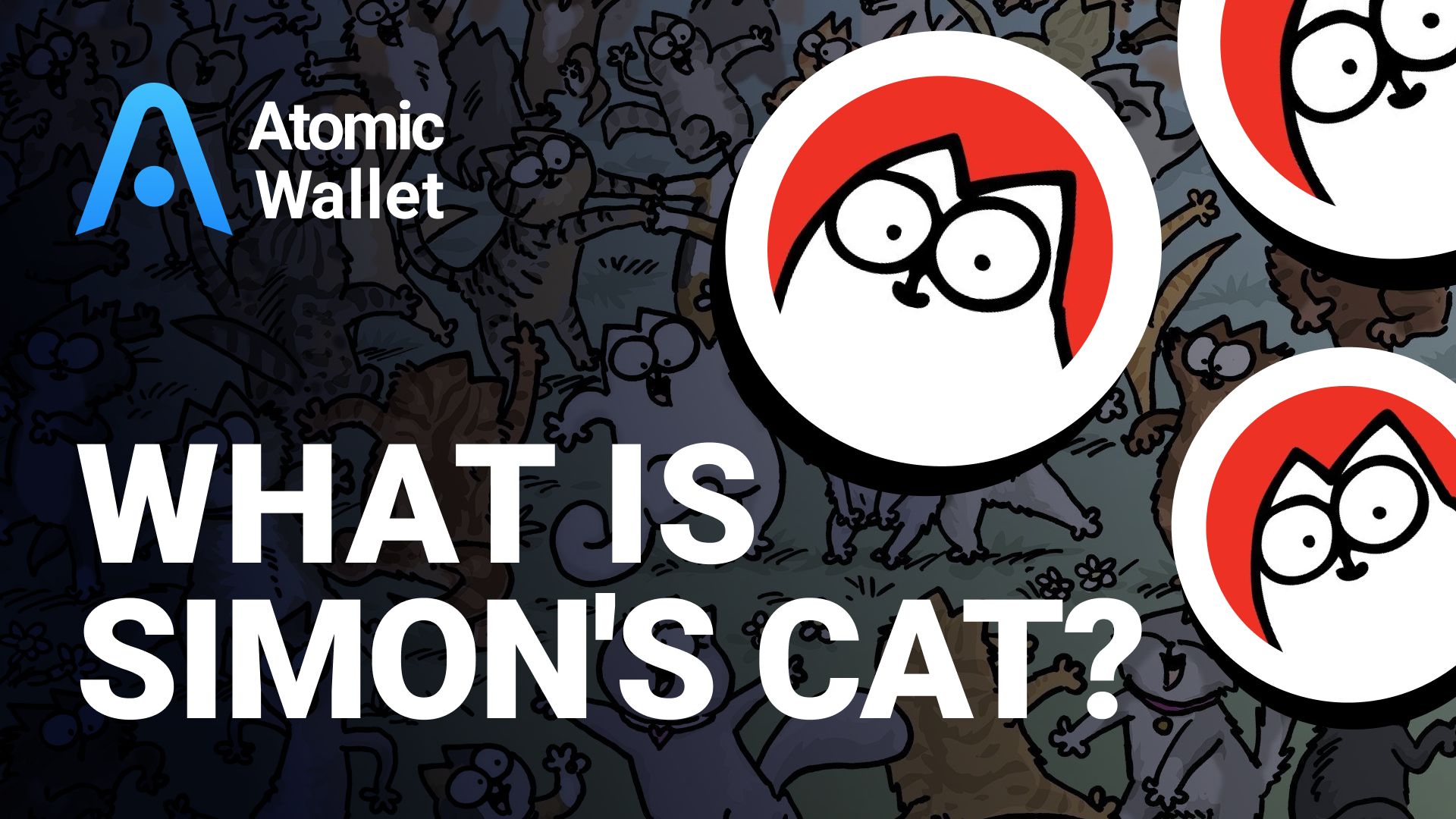 What is Simon's Cat?